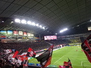 1446453170-DSC00988.JPG