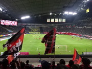 1446453181-DSC00987.JPG