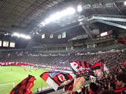 1446453196-DSC00989.JPG