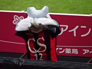 1446453335-DSC00991.JPG