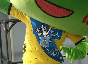 1448423351-DSC_0110_2_2.jpg