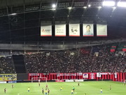 1448428237-DSC01269.JPG