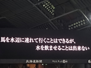 1448429585-DSC01291.JPG