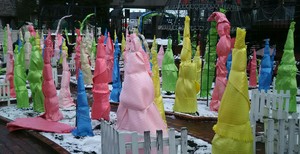 1448871387-DSC_0122_2_2.jpg