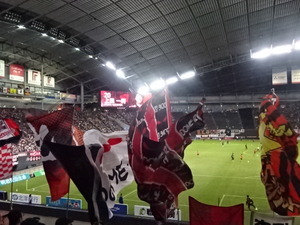 1458199555-DSC01424.JPG