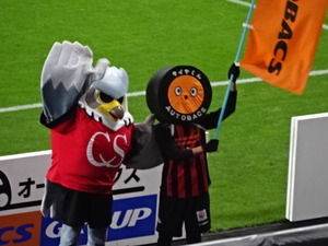 1459061995-DSC01518.JPG