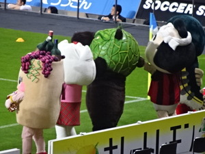 1465917708-DSC02017.JPG