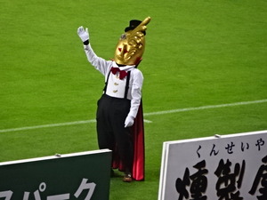 1465917996-DSC02023.JPG