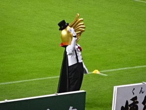 1465918010-DSC02026.JPG
