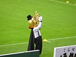 1465918024-DSC02027.JPG