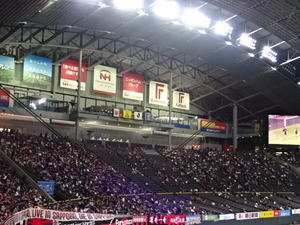 1465995753-DSC02058.JPG