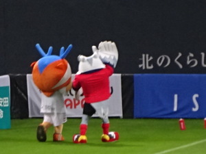 1466123963-DSC02072.JPG