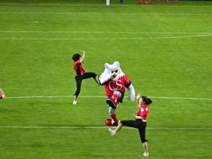 1466388160-DSC02137.JPG