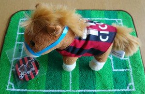 1466390964-DSC_0710_2.jpg