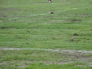 1469862935-DSC02620.JPG