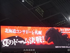 1471010397-DSC02775.JPG