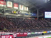 1471306175-DSC02836.JPG