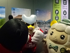 1472158407-DSC02929.JPG