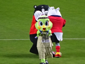 1472198972-DSC02989.JPG