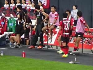 1472393517-DSC03057.JPG
