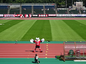 1472449991-DSC03096_1.JPG