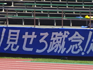 1472450212-DSC03105_1.JPG