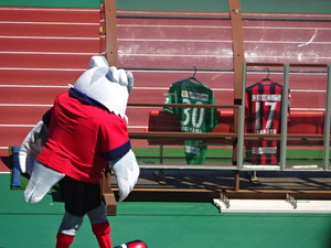 1472450698-DSC03097_1.JPG