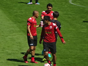 1472452356-DSC03131_1.JPG