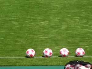 1472452719-DSC03150.JPG