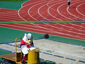 1472720366-DSC03191.JPG