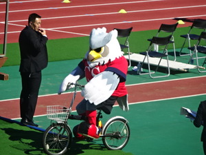 1472739334-DSC03197.JPG