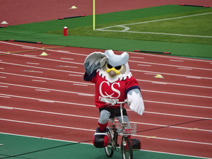 1473134355-DSC03271.JPG