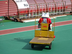 1473213262-DSC03361.JPG