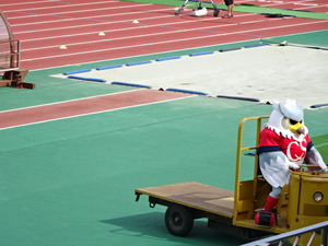 1473214198-DSC03362.JPG
