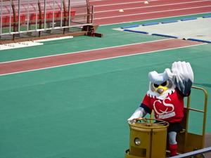 1473214226-DSC03363.JPG