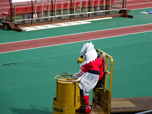 1473214354-DSC03367.JPG