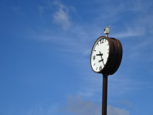 1473694053-DSC03407_1.JPG