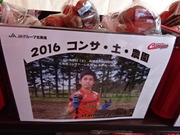 1476103448-DSC03748.JPG