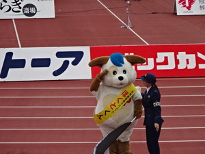 1476105318-DSC03779.JPG