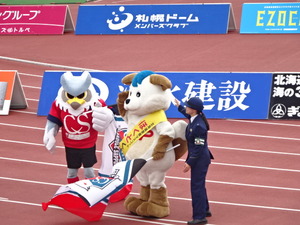 1476105339-DSC03781.JPG