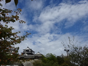 1476772565-DSC03944.JPG