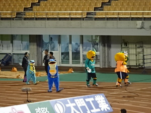 1476786662-DSC03981.JPG