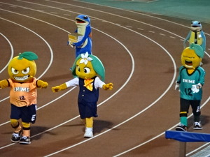 1476787262-DSC03985.JPG
