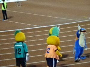1476787989-DSC03993.JPG