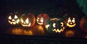 1477861615-DSC_1370_2.jpg