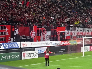 1478186389-DSC04197.JPG