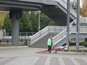 1478248782-DSC04126.JPG