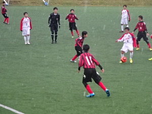 1478248821-DSC04139_1.JPG