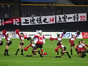 1478256861-DSC04181.JPG