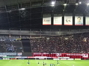 1478333263-DSC04227.JPG